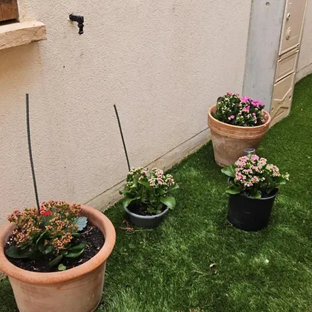 Apartment Eureka T2 Proche Du Camp Agde